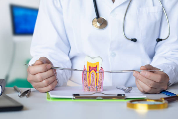 Best Tooth Pain Emergency Relief  in Greenville, OH